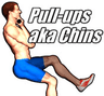 Pull-ups aka Chins