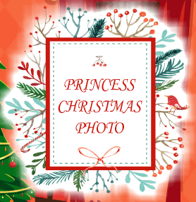 Princess Christmas Photo