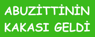 Abuzittinin Kakası Geldi