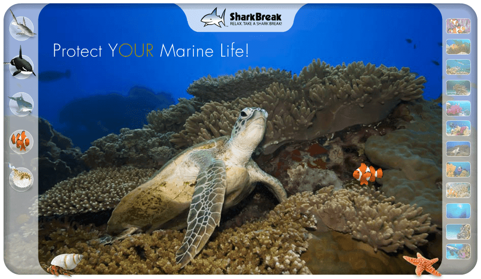 SharkBreak Online Aquarium screenshot