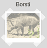 Borsti