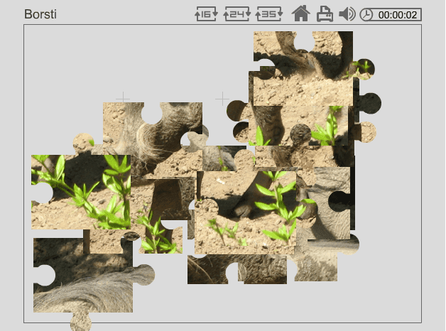 Borsti screenshot