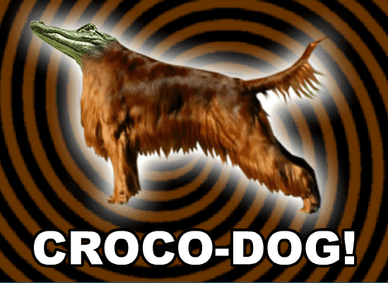 Croco-Dog! screenshot