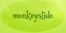 Monkey Slide