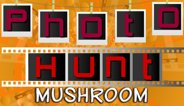 Photo Hunt: Mushroom