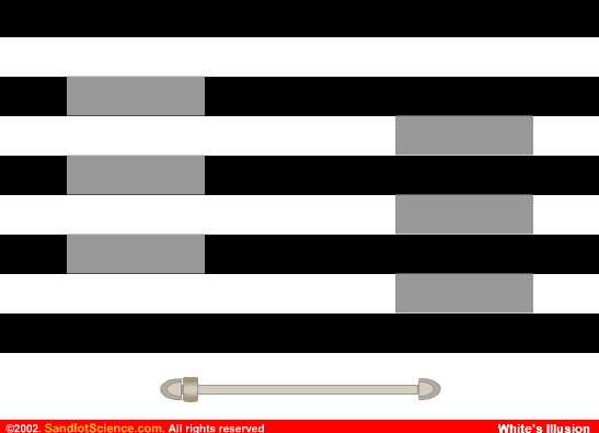 White's Illusion screenshot