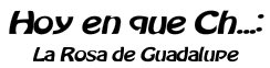 Hoy en Que Ch...: La Rosa De Guadalupe