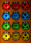 Insects TD