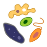 The Mysteries of Life With Tim & Moby: Protozoa