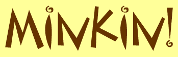 Minkin