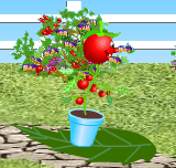 Idun Tomatminispill