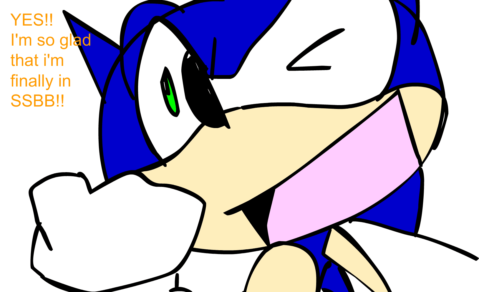 SSBB Sonic screenshot
