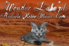 Wonder Lake*PL Banner Ad screenshot