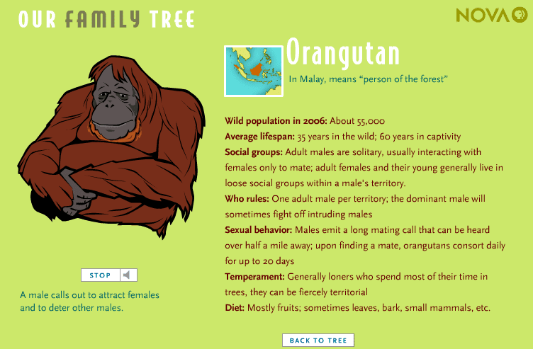 Our Family Tree screenshot