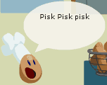 Omelet Kok