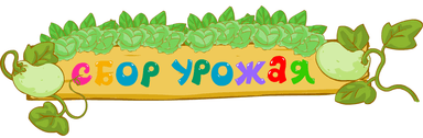 Сбор урожая