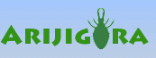 Arijigora