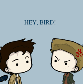 Hey, Bird!