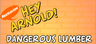 Hey Arnold! Dangerous Lumber
