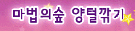마법의숲 양털깎기
