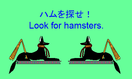 ハムを探せ！