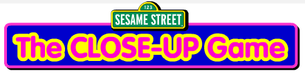 Sesame Street: The Close-Up Game