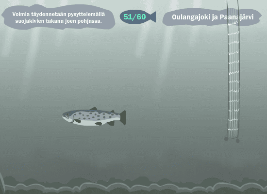 Oulangan Taimen screenshot