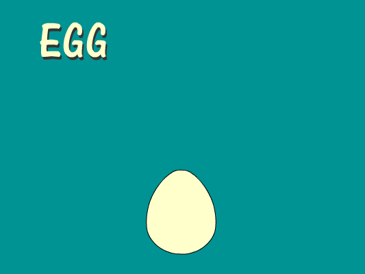 Egg