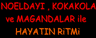 Noel Dayı, Koka Kola ve Magandalar ile Hayatın Ritmi
