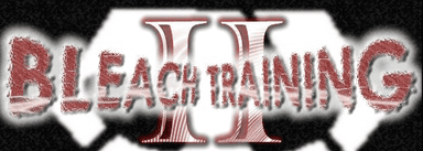 Bleach Training II