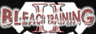 Bleach Training II
