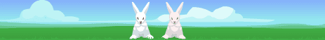 MonLapin.net - bannière 468x60 screenshot