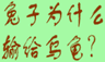 兔子为什么 输给乌龟 ?