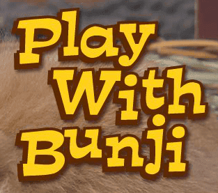 Play with Bunji