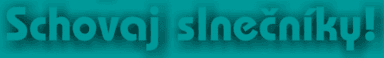 Schovaj slnečníky!