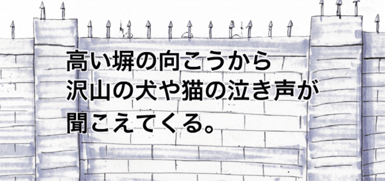 アニマランド screenshot