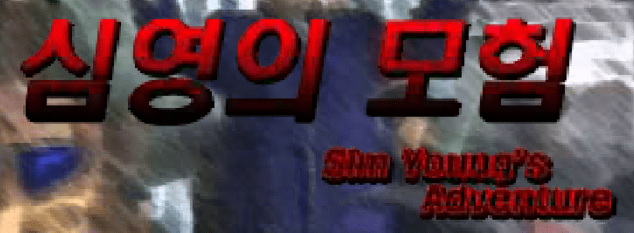 심영의 모험