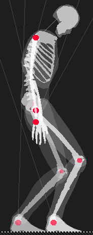 Wireframe Skeleton