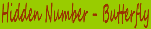 Hidden Number - Butterfly