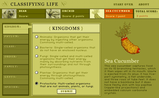 Classifying Life screenshot