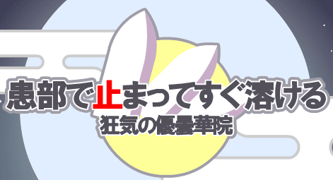 患部で止まってすぐ溶ける ～ 狂気の優曇華院