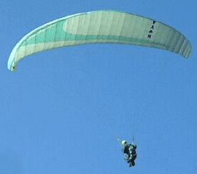 Fly