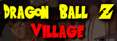 Dragon Ball Z Village