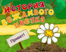 История вежливого цветка