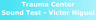 Trauma Center Sound Test - Victor Niguel