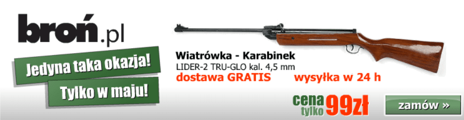 Doublebillboard IAB | Broń.pl screenshot