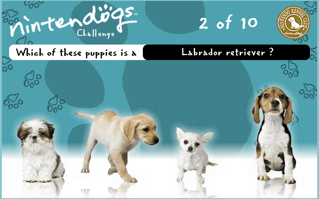 Nintendogs Challenge screenshot