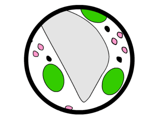 Ruchy Cytoplazmy Zajawka screenshot