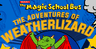 The Adventures of Weatherlizard