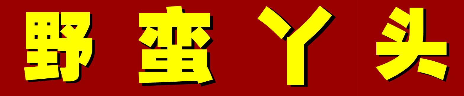 《野蛮丫头》第9集